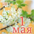 С 1 мая, праздником весны, мира и труда!
